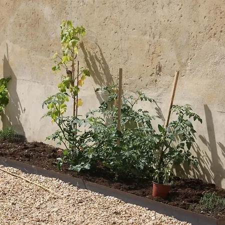 La Ferme De Saint Christeau *