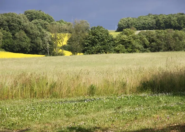 La Ferme De Saint Christeau Auch