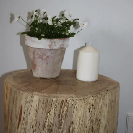 Hébergement de vacances La Ferme De Saint Christeau