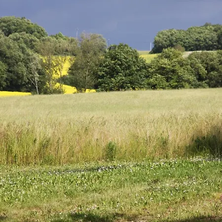 La Ferme De Saint Christeau Auch